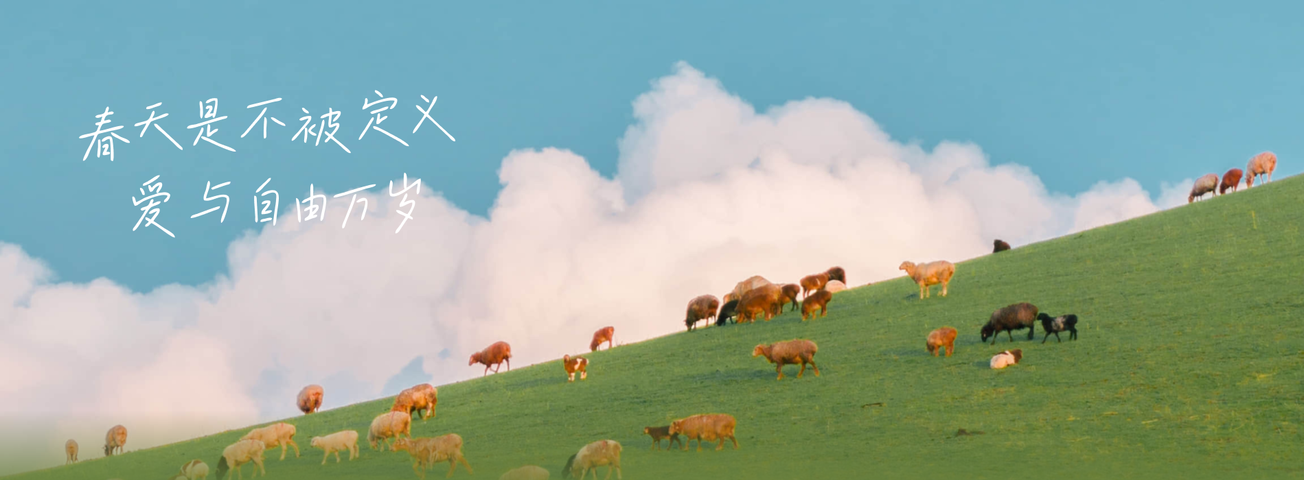 产品案例banner
